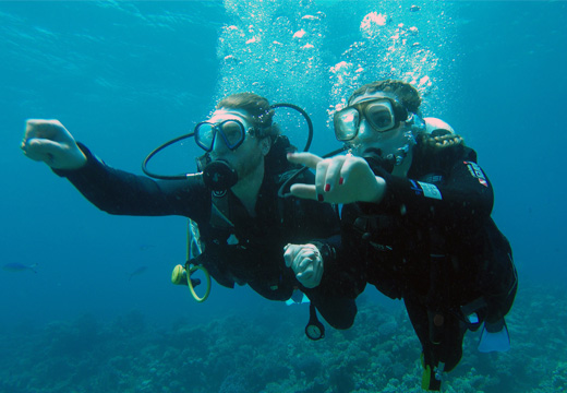 Discover Scuba Diving - DSD Trial Dives