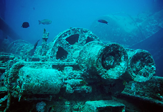 DIVES FOR LICENSED DIVERS