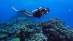 Prima Diving