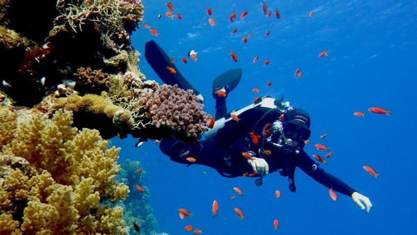 North Ras Mohamed